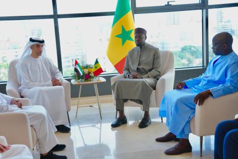 Visite de travail d&rsquo;une délégation émiratie de haut niveau